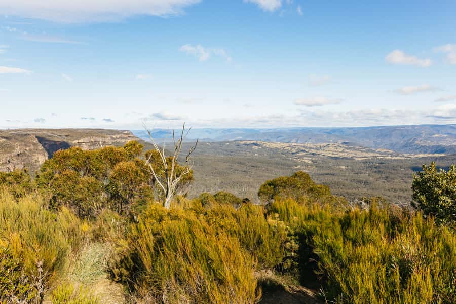Katoomba: Lyrebird Hop-On Hop-Off and Scenic World Pass - Ride the Explorer Bus before choosing your stops