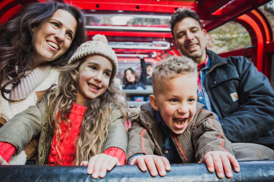 Katoomba: Scenic World 1-Day Unlimited Discovery Pass - Why Scenic World makes a strong Blue Mountains day