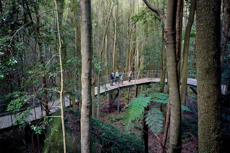 Katoomba: Scenic World 1-Day Unlimited Discovery Pass - Making sense of the $43 price