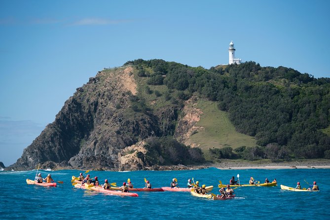 Kayaking with Dolphins in Byron Bay Guided Tour - Starting at Lawson Street in Byron Bay