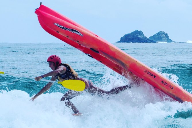 Kayaking with Dolphins in Byron Bay Guided Tour - Meeting dolphins in the wild