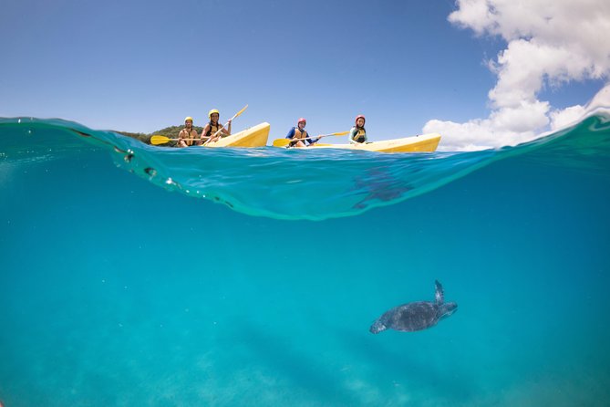 Kayaking with Dolphins in Byron Bay Guided Tour - Guides, safety, and the feel of the group