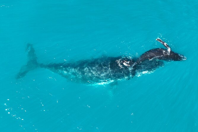 Kimberley Day Cruise Full Day Tour Departing Broome - Gourmet food that changes the feel of the day