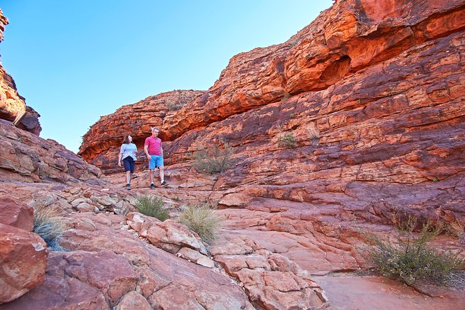 Kings Canyon Day Trip from Ayers Rock (Uluru) - The early ride through Central Australia