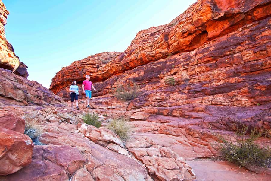 Kings Canyon: Full-Day Tour from Ayers Rock Resort - Why Kings Canyon deserves a day from Uluru