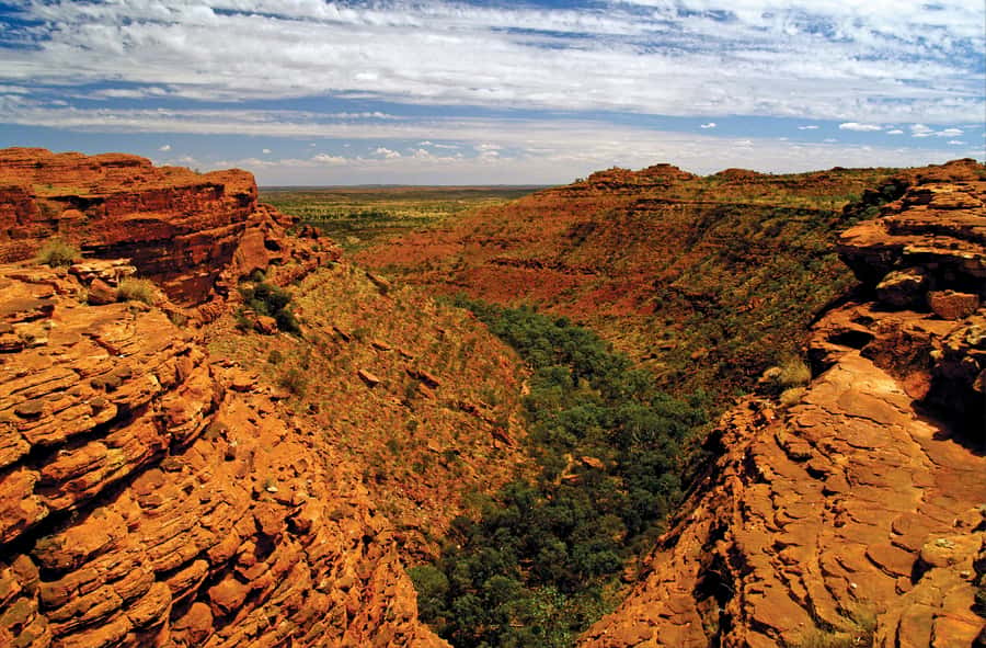 Kings Canyon: Full-Day Tour from Ayers Rock Resort - Breakfast at Kings Creek Station