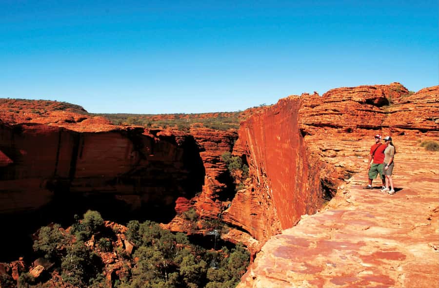 Kings Canyon: Full-Day Tour from Ayers Rock Resort - The 4:00 AM pickup and the long road west