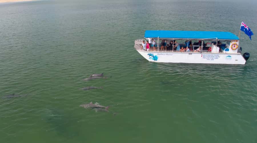 Koombana Bay: Dolphin Eco Cruise - Weather, clothing, and the alternative beach