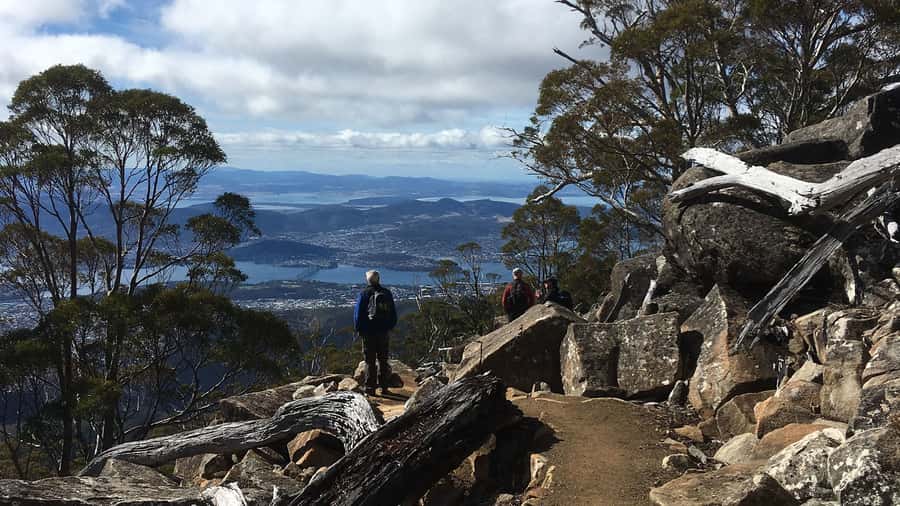 Kunanyi & Mt Wellington Explorer Bus: One-Way Bus Pass - Key points to know before booking