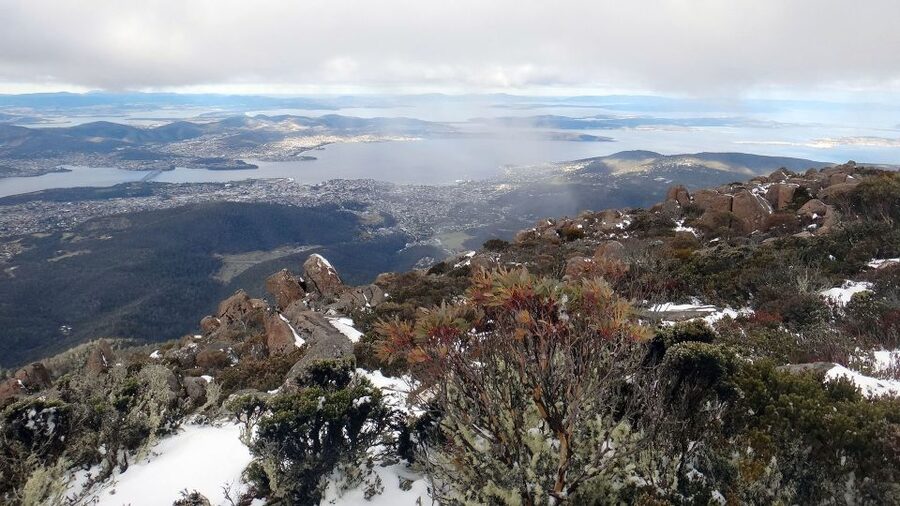 Kunanyi & Mt Wellington Explorer Bus: One-Way Bus Pass - Bringing a mountain bike on the Explorer Bus