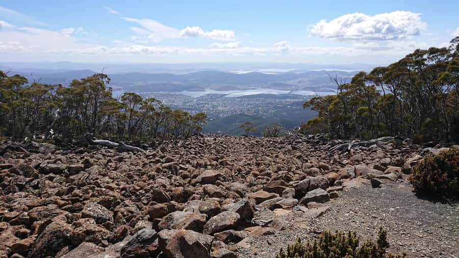Kunanyi & Mt Wellington Explorer Bus: One-Way Bus Pass - What the $24 fare really includes