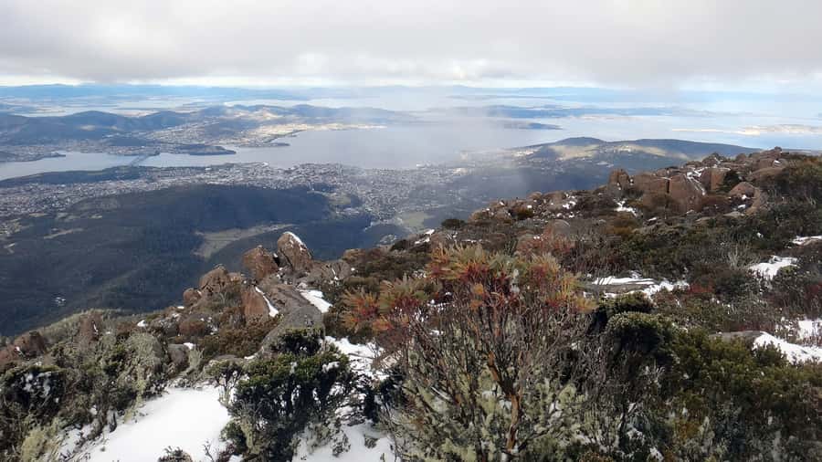 Kunanyi & Mt Wellington Explorer Bus: One-Way Bus Pass - Meeting point, timing, and useful preparation