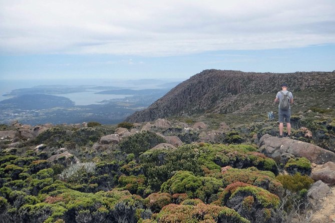 kunanyi/Mt Wellington Explorer Bus- Return Tour (2.5 hours) - From Brooke Street Pier to the mountain