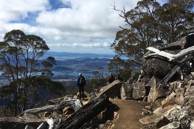 kunanyi/Mt Wellington Explorer Bus- Return Tour (2.5 hours) - Price, comfort, and overall value