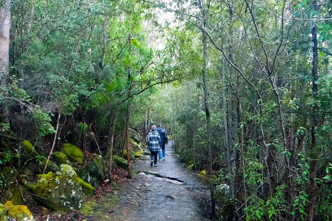 kunanyi/Mt Wellington Explorer Bus- Return Tour (2.5 hours) - Who will get the most from this bus trip