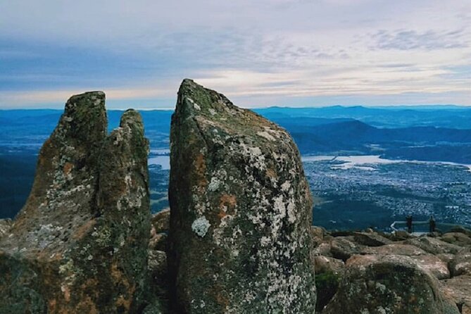 kunanyi/Mt Wellington Tour and MONA Admission - The summit: spectacular when clear, atmospheric when cloudy