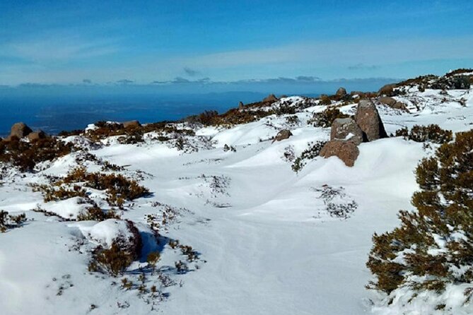 kunanyi/Mt Wellington Ultimate Experience Tour from Hobart - The Female Factory: important history, limited access