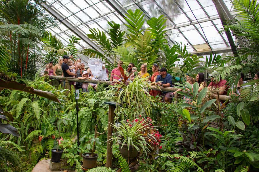Kuranda: Australian Butterfly Sanctuary - Key points to know before you go