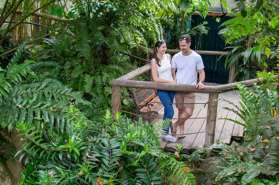 Kuranda: Australian Butterfly Sanctuary - Who will enjoy this most?