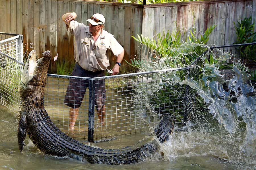 Kuranda & Hartley's Crocodile Adventures - From Cairns to Kuranda by historic railway