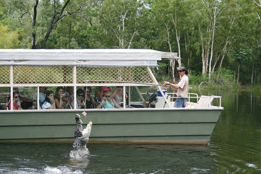 Kuranda & Hartley's Crocodile Adventures - Skyrail above the rainforest canopy