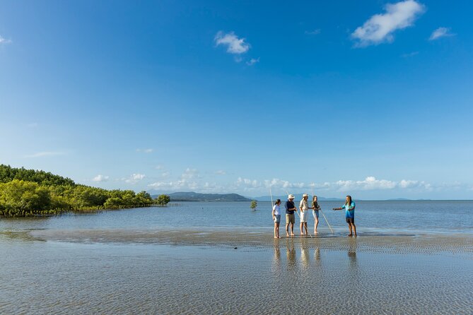 Kuranda Highlights including Rainforestation Aboriginal Culture and Wildlife R1B - Pamagirri Aboriginal Experience