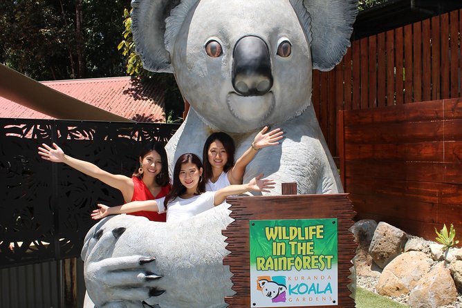 Kuranda Koala Gardens and Birdworld Admission Tickets - Two small parks with close animal encounters