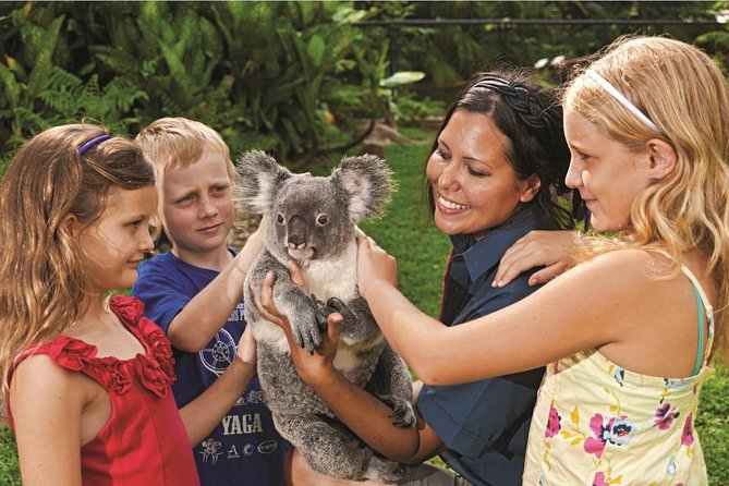 Kuranda Koala Gardens General Entry Ticket - How Long to Allow in Kuranda