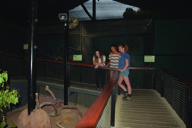 Kuranda Koala Gardens General Entry Ticket - My Advice Before You Go