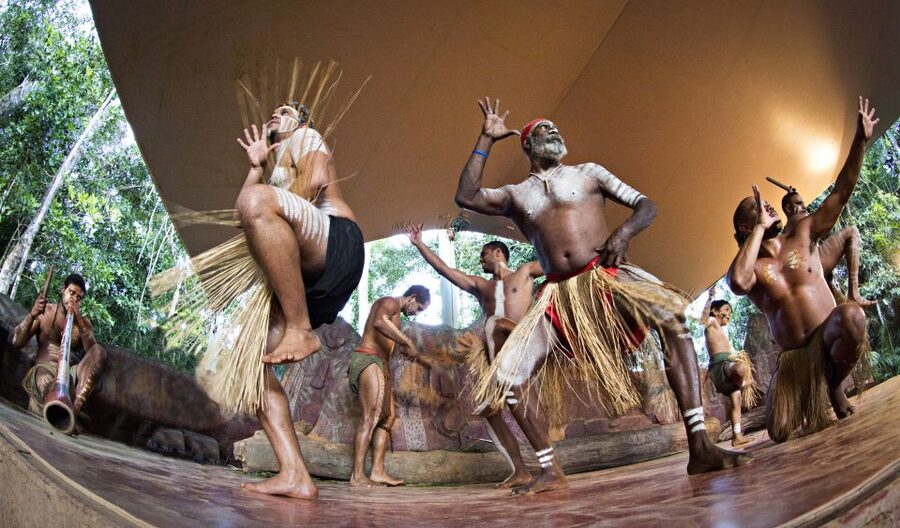 Kuranda Pamagirri Aboriginal Premium Full-Day Tour - Lunch, transport, and the nine-hour schedule
