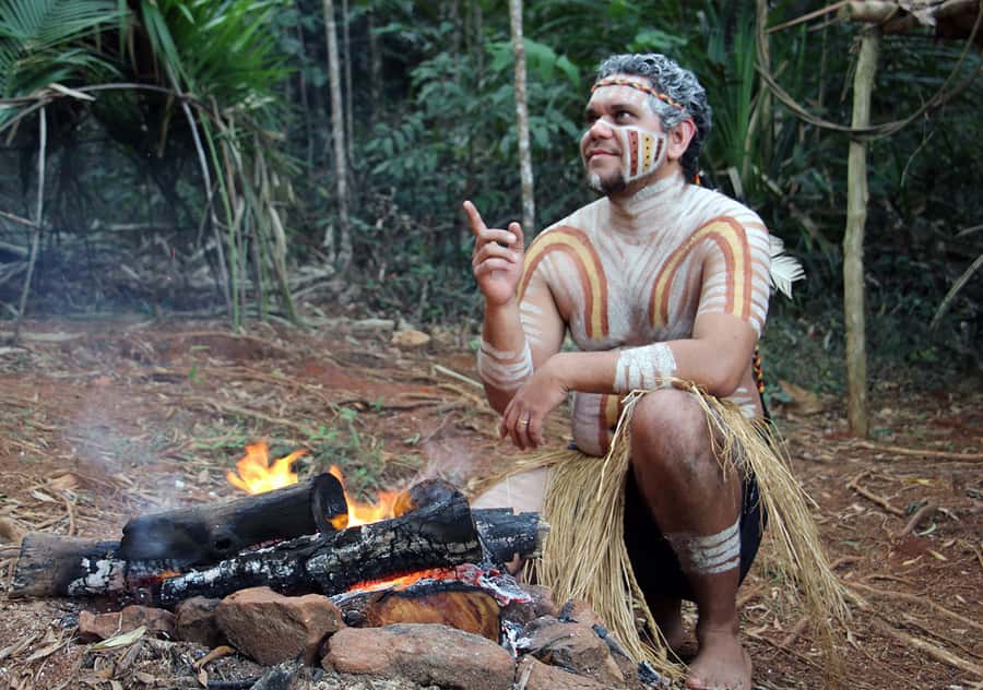 Kuranda Pamagirri Aboriginal Premium Full-Day Tour - The Army Duck through forest and water