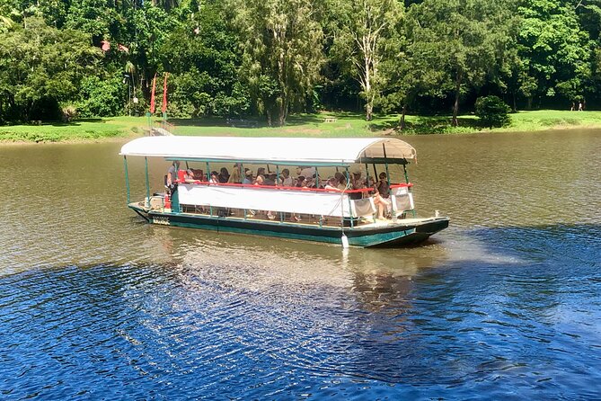Kuranda Riverboat Sightseeing Cruise - Wildlife sightings and how to get the most from them