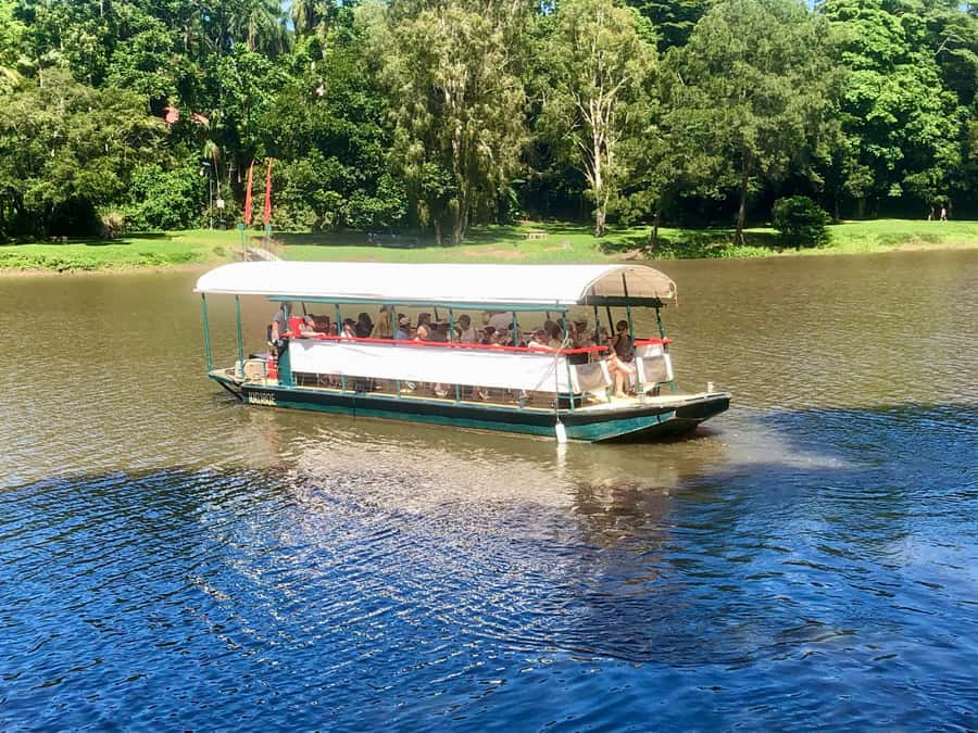 Kuranda: Riverboat Tour - Key points at a glance
