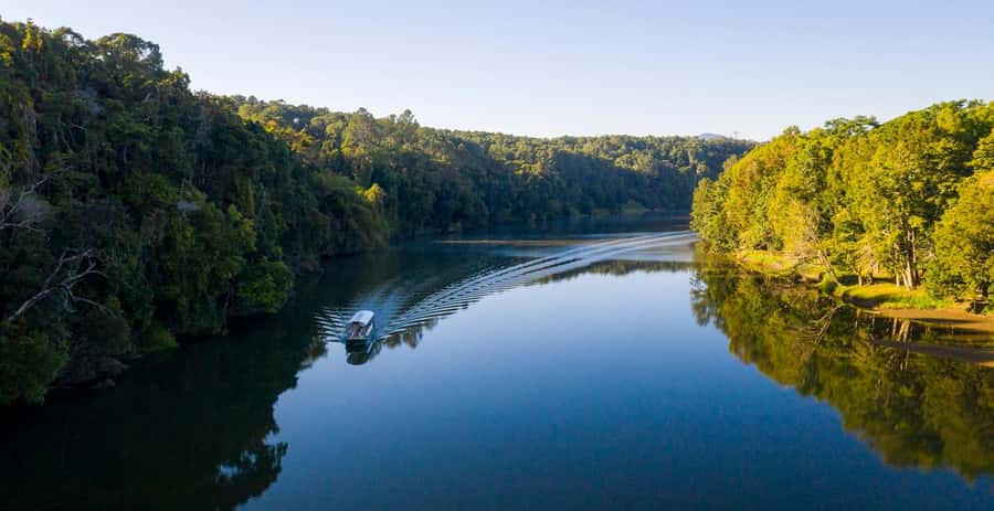 Kuranda: Riverboat Tour - A quiet look at the Barron River