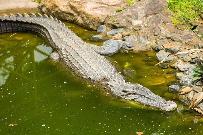 Kuranda Scenic Railway Day Trip from Cairns - Pickup is convenient, but read the meeting details carefully