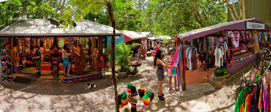 Kuranda, Skyrail & Gold Class Train from Cairns - Key points to know
