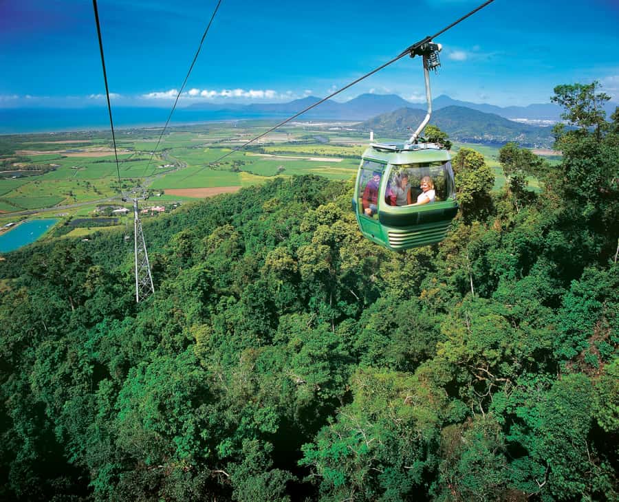 Kuranda, Skyrail & Gold Class Train from Cairns - Riding Skyrail above the canopy