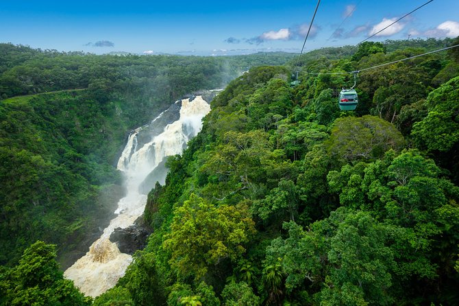 Kuranda Village, Army Duck Tour with Train and Skyrail (KDB) - Three rainforest views in one Cairns day