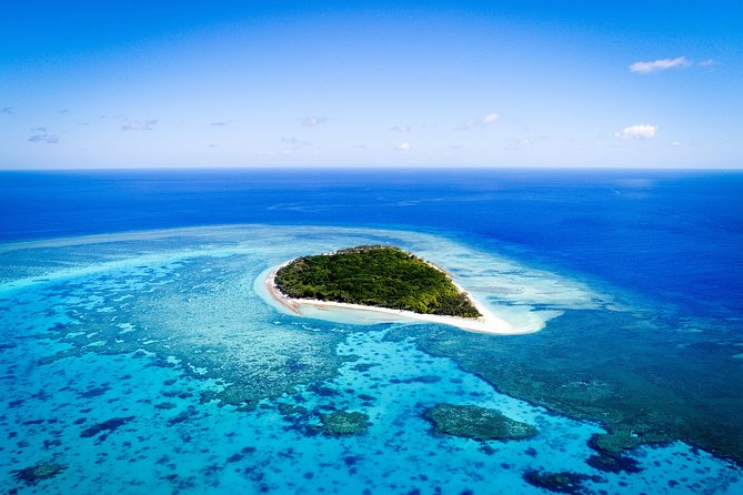 Lady Musgrave Day Trip from Bundaberg Including Snorkeling - What makes this Lady Musgrave day trip worth considering