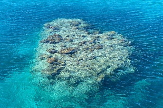 Lady Musgrave Day Trip from Bundaberg Including Snorkeling - Seeing the reef through glass