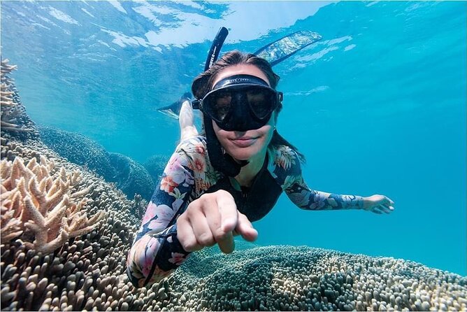 Lady Musgrave Day Trip from Bundaberg Including Snorkeling - Is $240.64 a fair price?