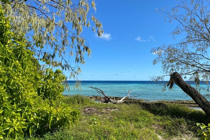 Lady Musgrave Day Trip from Bundaberg Including Snorkeling - Who should book this tour?