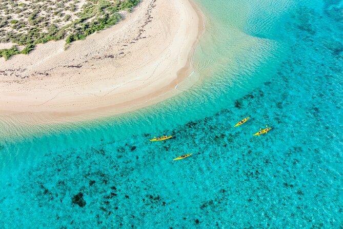 Lagoon Explorer - Ningaloo Reef Full-Day Kayaking and Snorkeling Adventure - Why kayaking gives you a different view of Ningaloo Reef