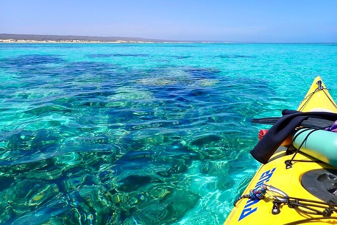 Lagoon Explorer - Ningaloo Reef Full-Day Kayaking and Snorkeling Adventure - Beach time, morning tea, and a simple lunch