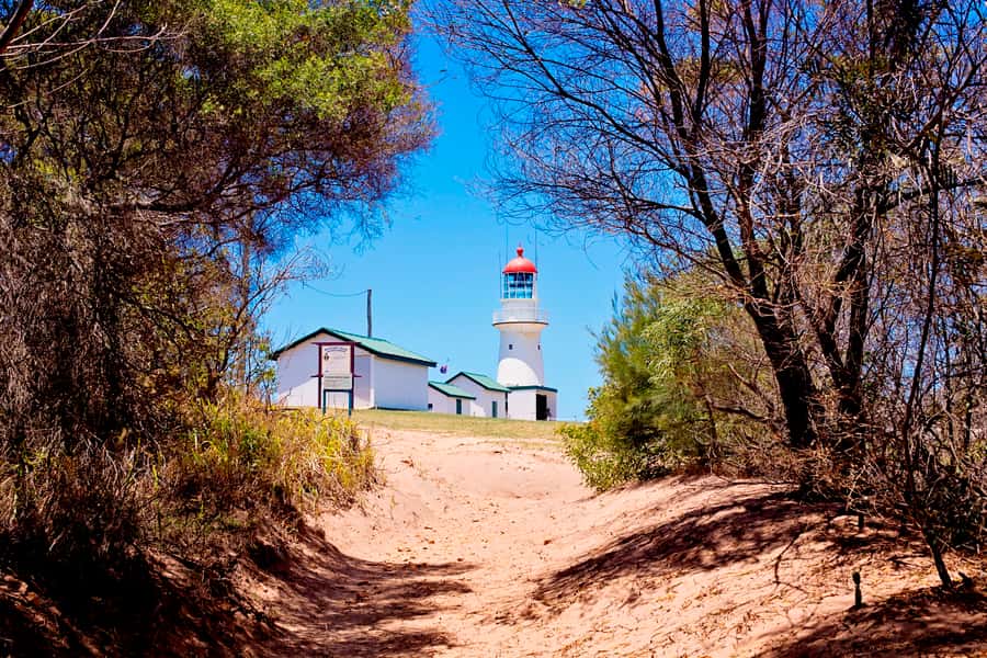 LARC! Paradise Tour: Beach, Lunch and Sandboarding - A full day on Queensland’s remote coast