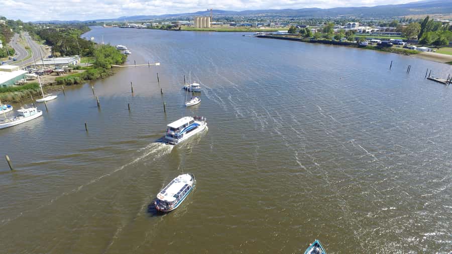 Launceston: 2.5-Hour Afternoon Discovery Cruise - Rosevears, Windemere, and the quieter return