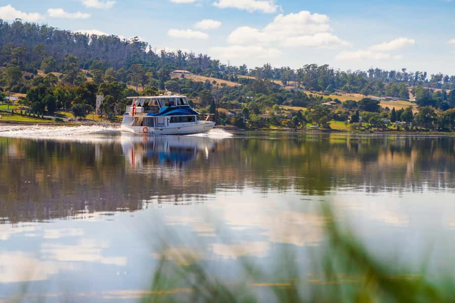 Launceston: 4-Hour Batman Bridge Luncheon Cruise - Key points at a glance