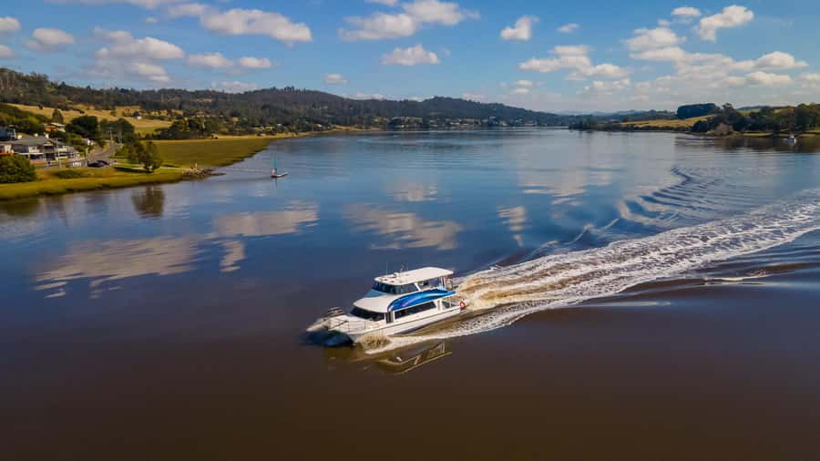 Launceston: 4-Hour Batman Bridge Luncheon Cruise - Under Batman Bridge and through Whirlpool Reach