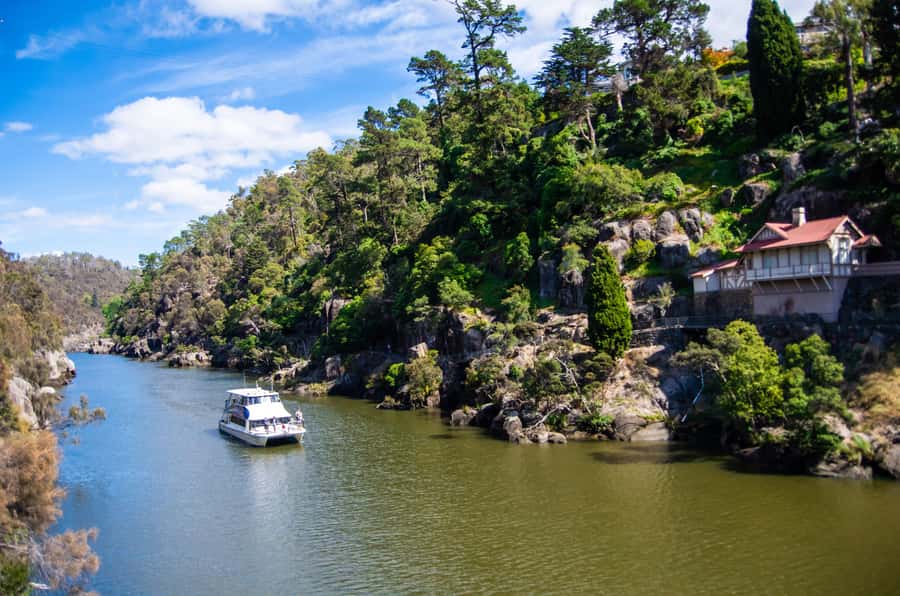 Launceston: 4-Hour Batman Bridge Luncheon Cruise - Who gets the most from the $126 fare