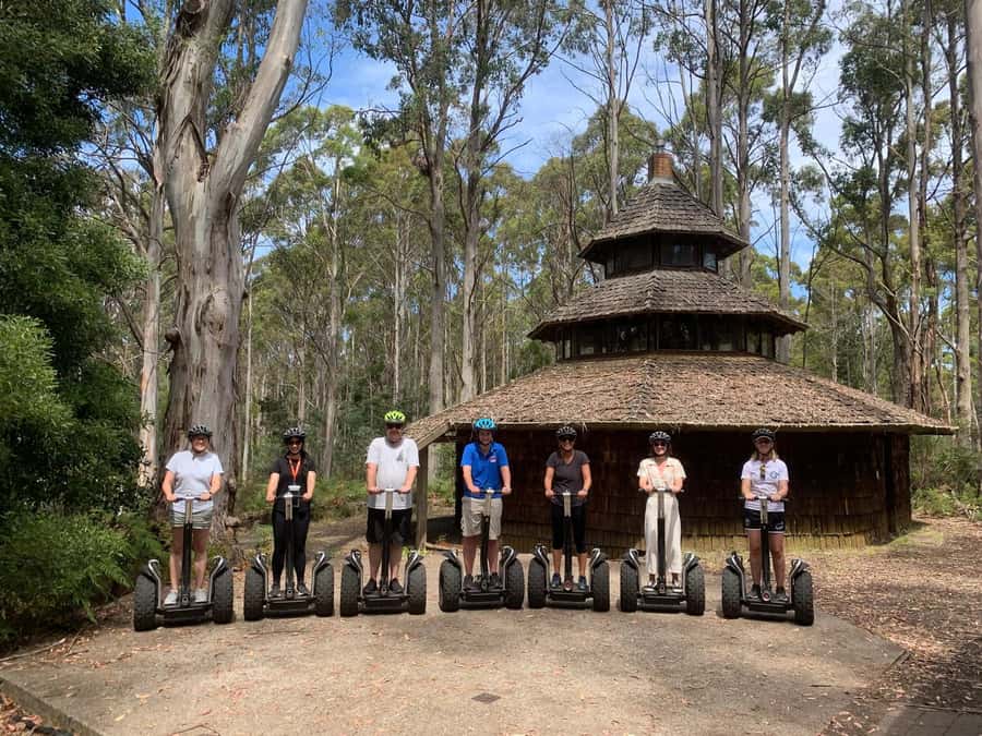 Launceston: Hollybank Forest Guided Segway Tour with Photos - Key points at a glance
